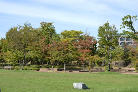DSC_0450