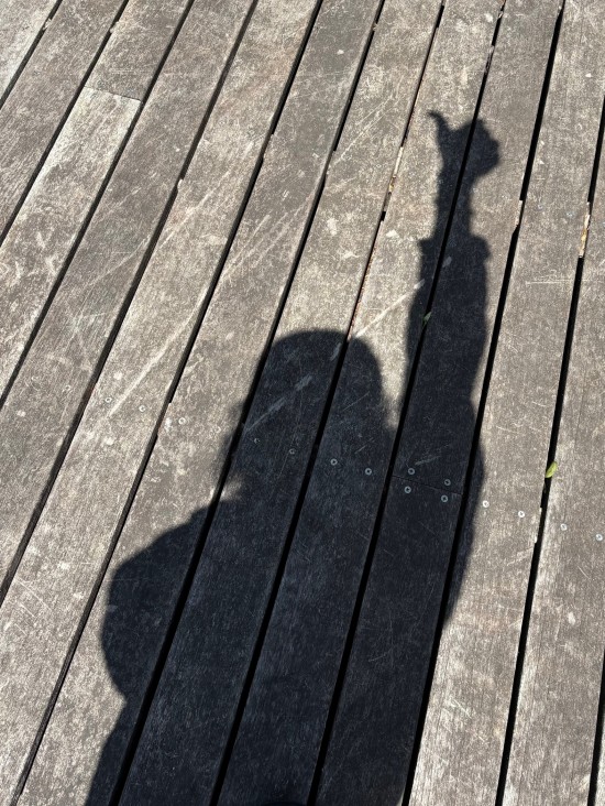 73