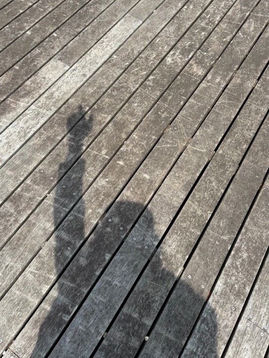 79