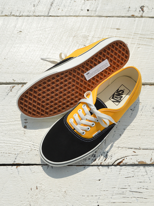 Authentic (PRIMARY MULTI)