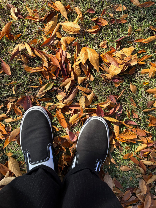 NR STYLE　1134　　11/10/2025